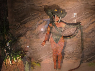 A danger you cannot resist