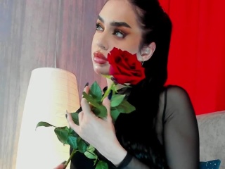 розы красные..
