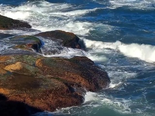 Teaser Playa, Sol y Fuck