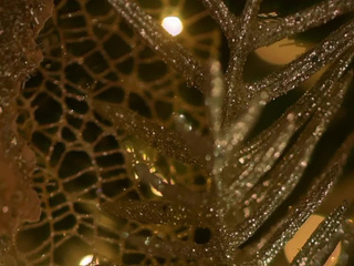 Dont touch me, Im sparkling with bad cheer