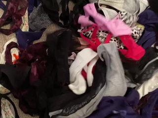 panties