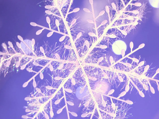 Naughty little doll.