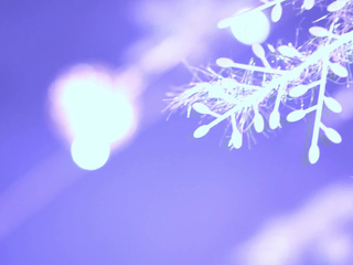 Santas favorite good girl