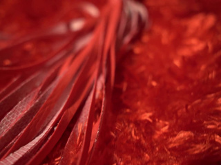 A delicate look with wild intentions.