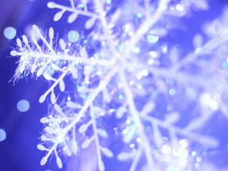 Your sweet little gift.