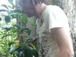 by the tree in the forest