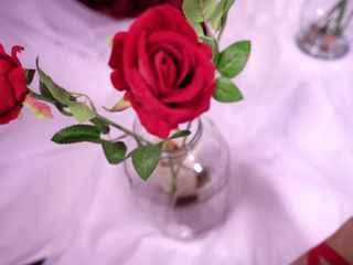 Glamour in my veins, fire in my soul.