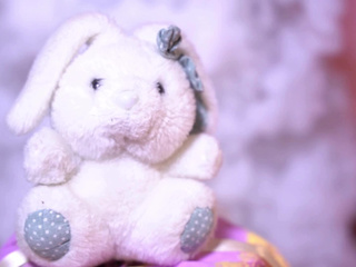 Sweet as chocolate, mischievous as a rabbit