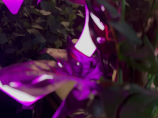 Почувствуй мою легкость