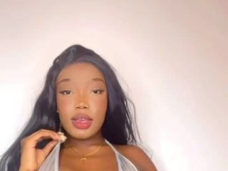 my presentation video