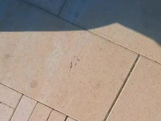 Летняя прогулка