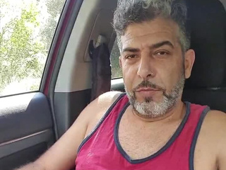 Arabian bulge out of control