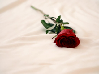 Just a little teasing  for you to know what is coming