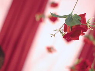 This Valentine, Im your favorite temptation.