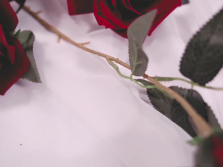 Be mine and let me lead the night.