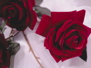 Angel face, Valentine intentions.