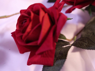 Sweet darkness on my lips.