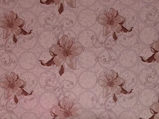 The Goddess of deep throat