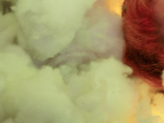 Looking is not enough