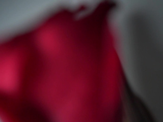 🌹 Velvet Mood & Pure Seduction Preview 🌹