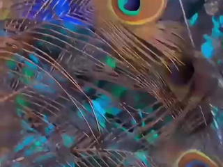 Mystic Emerald