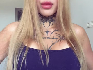 🦊